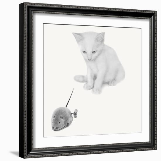 Qu’est-ce que c’est?-Jon Bertelli-Framed Photographic Print