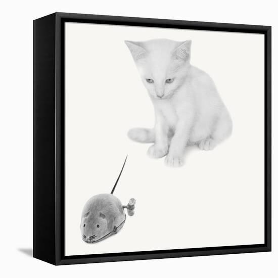 Qu’est-ce que c’est?-Jon Bertelli-Framed Stretched Canvas