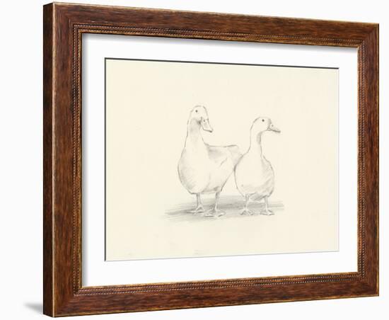 Quack Quack II-Ethan Harper-Framed Art Print