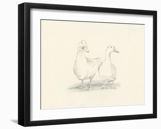 Quack Quack II-Ethan Harper-Framed Art Print