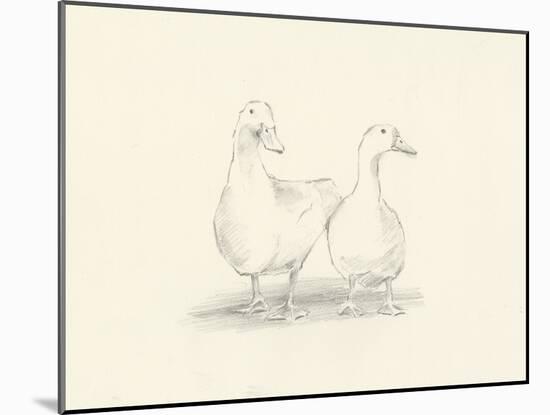 Quack Quack II-Ethan Harper-Mounted Art Print