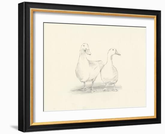 Quack Quack II-Ethan Harper-Framed Art Print