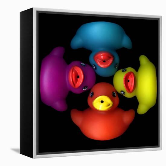 Quackers 2-Magda Indigo-Framed Premier Image Canvas