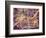 Quad Cities Street Map-Michael Tompsett-Framed Premium Giclee Print