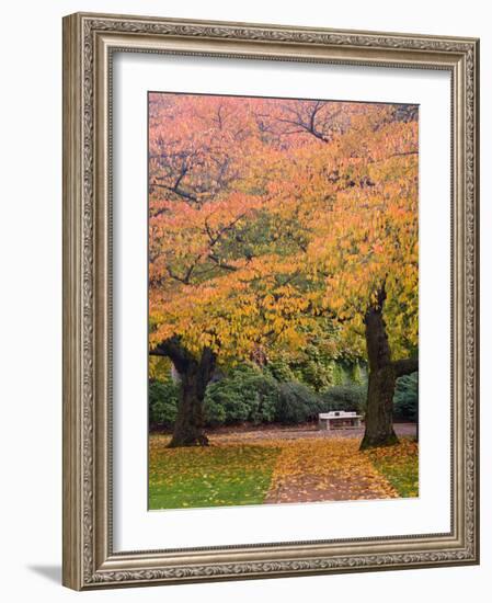 Quad in Autumn, University of Washington, Seattle, Washington, USA-Jamie & Judy Wild-Framed Photographic Print