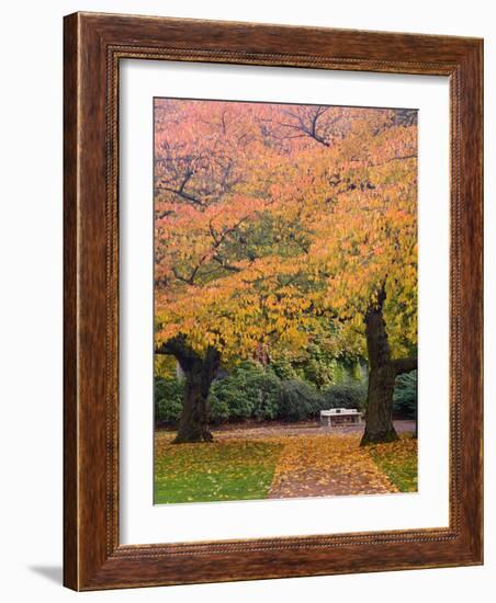 Quad in Autumn, University of Washington, Seattle, Washington, USA-Jamie & Judy Wild-Framed Photographic Print
