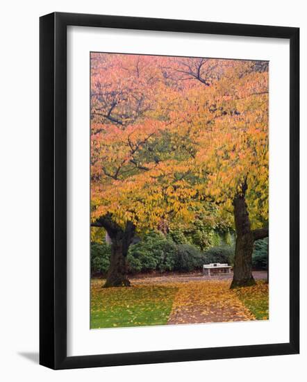 Quad in Autumn, University of Washington, Seattle, Washington, USA-Jamie & Judy Wild-Framed Photographic Print