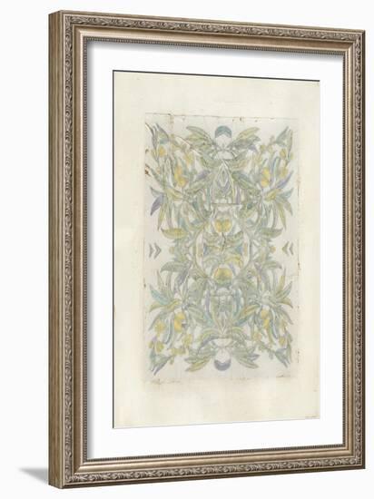 Quadrant Floral I-Megan Meagher-Framed Art Print