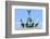 Quadriga on Top of the Brandenburger Tor, Berlin, Brandenburg, Germany, Europe-G & M Therin-Weise-Framed Photographic Print