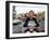 Quadrophenia-null-Framed Photo