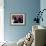 Quadrophenia-null-Framed Photo displayed on a wall