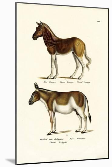 Quagga, 1824-Karl Joseph Brodtmann-Mounted Giclee Print
