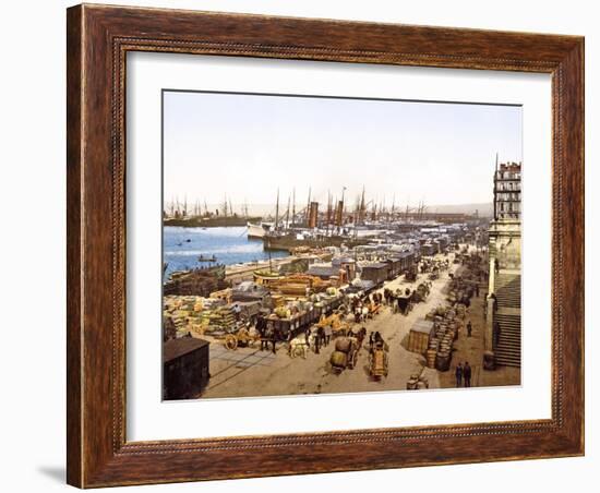 Quai De La Joliette, Marseilles, France, Pub. 1890-1900-null-Framed Giclee Print