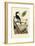 Quail, 1833-39-null-Framed Giclee Print