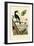 Quail, 1833-39-null-Framed Giclee Print