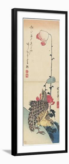 Quail and Poppies, 1830-1858-Utagawa Hiroshige-Framed Giclee Print