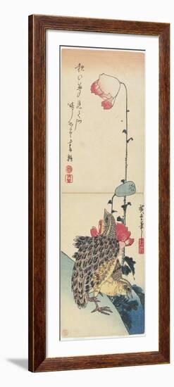 Quail and Poppies, 1830-1858-Utagawa Hiroshige-Framed Giclee Print