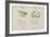 Quail and Rabbit Illustrations and Verse From Nonsense Alphabets by Edward Lear.-Edward Lear-Framed Giclee Print