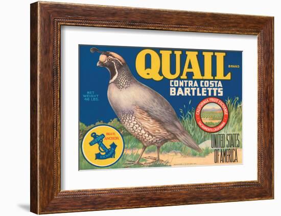 Quail Brand Contra Costa Bartletts-null-Framed Art Print