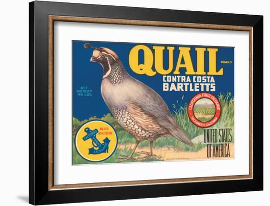 Quail Brand Contra Costa Bartletts-null-Framed Art Print