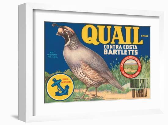 Quail Brand Contra Costa Bartletts-null-Framed Art Print