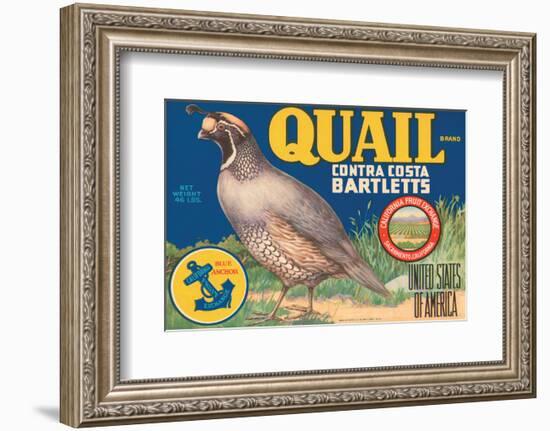 Quail Brand Contra Costa Bartletts-null-Framed Art Print