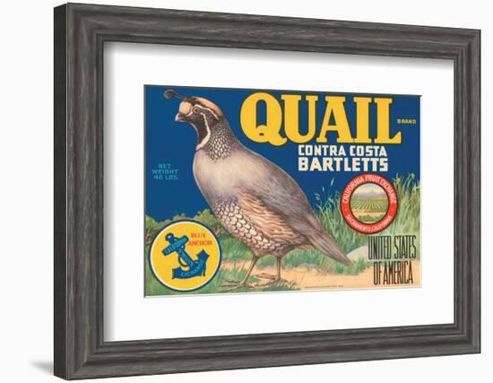 Quail Brand Contra Costa Bartletts--Framed Art Print