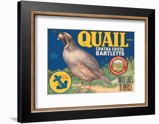 Quail Brand Contra Costa Bartletts-null-Framed Art Print