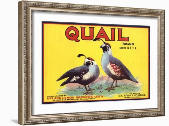 Quail Brand - Upland, California - Citrus Crate Label-Lantern Press-Framed Art Print