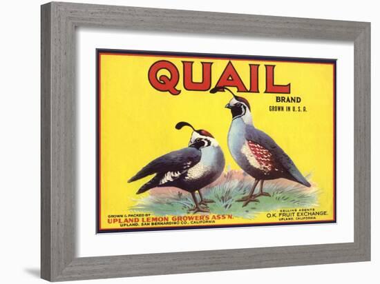 Quail Brand - Upland, California - Citrus Crate Label-Lantern Press-Framed Art Print