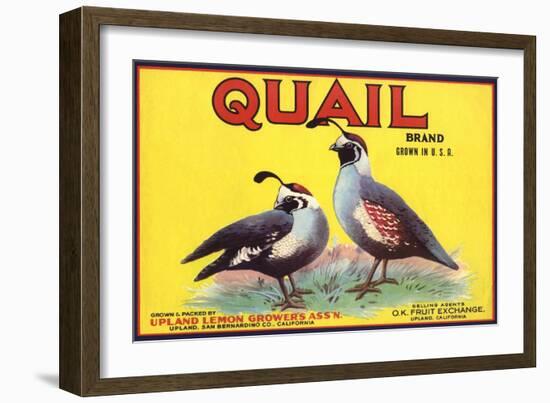 Quail Brand - Upland, California - Citrus Crate Label-Lantern Press-Framed Art Print