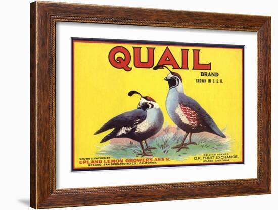 Quail Brand - Upland, California - Citrus Crate Label-Lantern Press-Framed Art Print