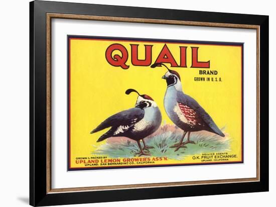 Quail Brand - Upland, California - Citrus Crate Label-Lantern Press-Framed Art Print