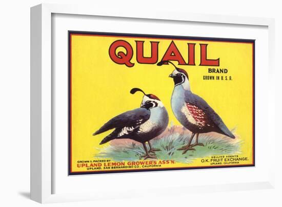 Quail Brand - Upland, California - Citrus Crate Label-Lantern Press-Framed Art Print