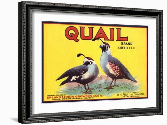 Quail Brand - Upland, California - Citrus Crate Label-Lantern Press-Framed Art Print