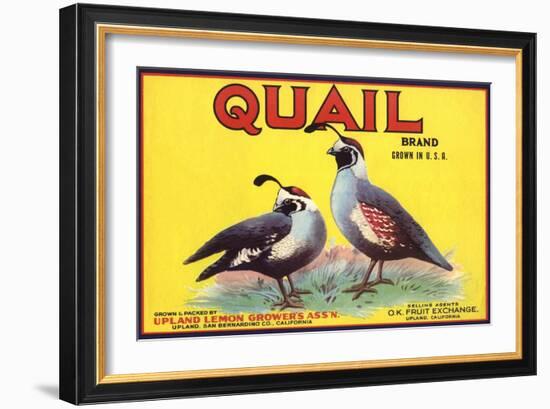 Quail Brand - Upland, California - Citrus Crate Label-Lantern Press-Framed Art Print