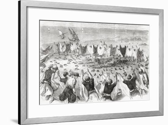 Quail Hunting on the Coast of Syria. from 'L'Univers Illustré', Published 1866-null-Framed Giclee Print