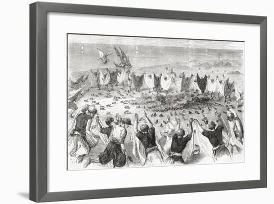 Quail Hunting on the Coast of Syria. from 'L'Univers Illustré', Published 1866-null-Framed Giclee Print