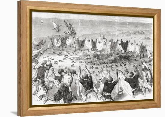 Quail Hunting on the Coast of Syria. from 'L'Univers Illustré', Published 1866-null-Framed Premier Image Canvas