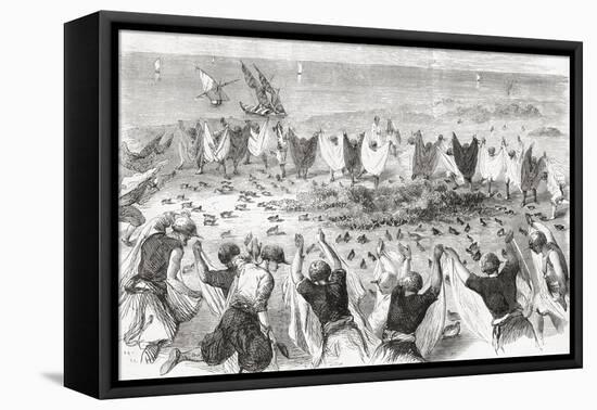 Quail Hunting on the Coast of Syria. from 'L'Univers Illustré', Published 1866-null-Framed Premier Image Canvas