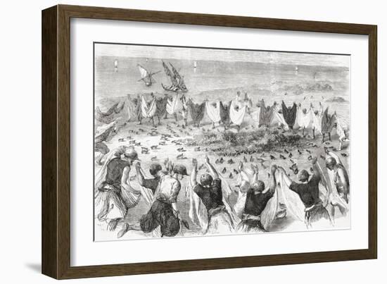 Quail Hunting on the Coast of Syria. from 'L'Univers Illustré', Published 1866-null-Framed Giclee Print