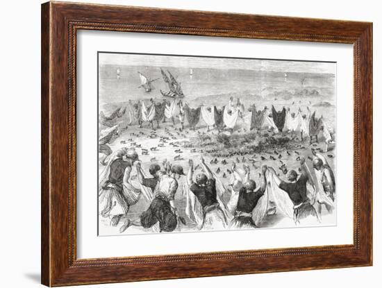 Quail Hunting on the Coast of Syria. from 'L'Univers Illustré', Published 1866-null-Framed Giclee Print