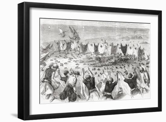 Quail Hunting on the Coast of Syria. from 'L'Univers Illustré', Published 1866-null-Framed Giclee Print