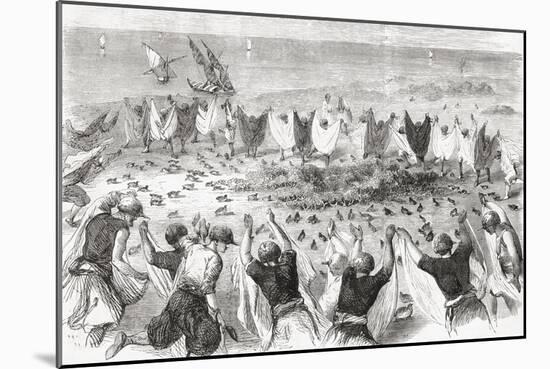 Quail Hunting on the Coast of Syria. from 'L'Univers Illustré', Published 1866-null-Mounted Giclee Print