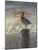 Quail on a Post-Carolyn Mock-Mounted Art Print