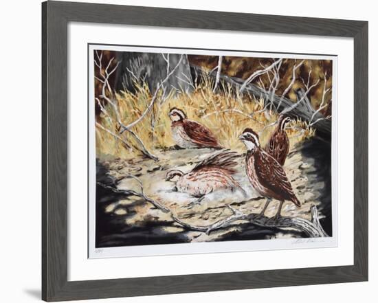 Quail-Allen Friedman-Framed Limited Edition