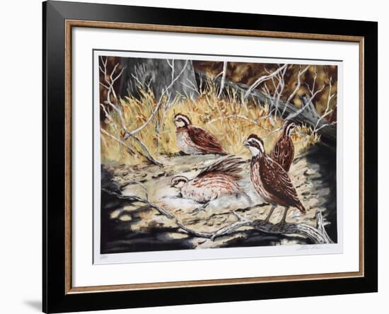 Quail-Allen Friedman-Framed Limited Edition