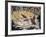 Quail-Allen Friedman-Framed Limited Edition