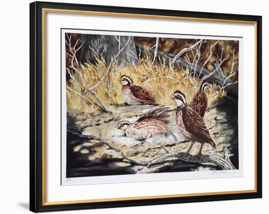 Quail-Allen Friedman-Framed Limited Edition