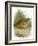 Quail-English-Framed Giclee Print